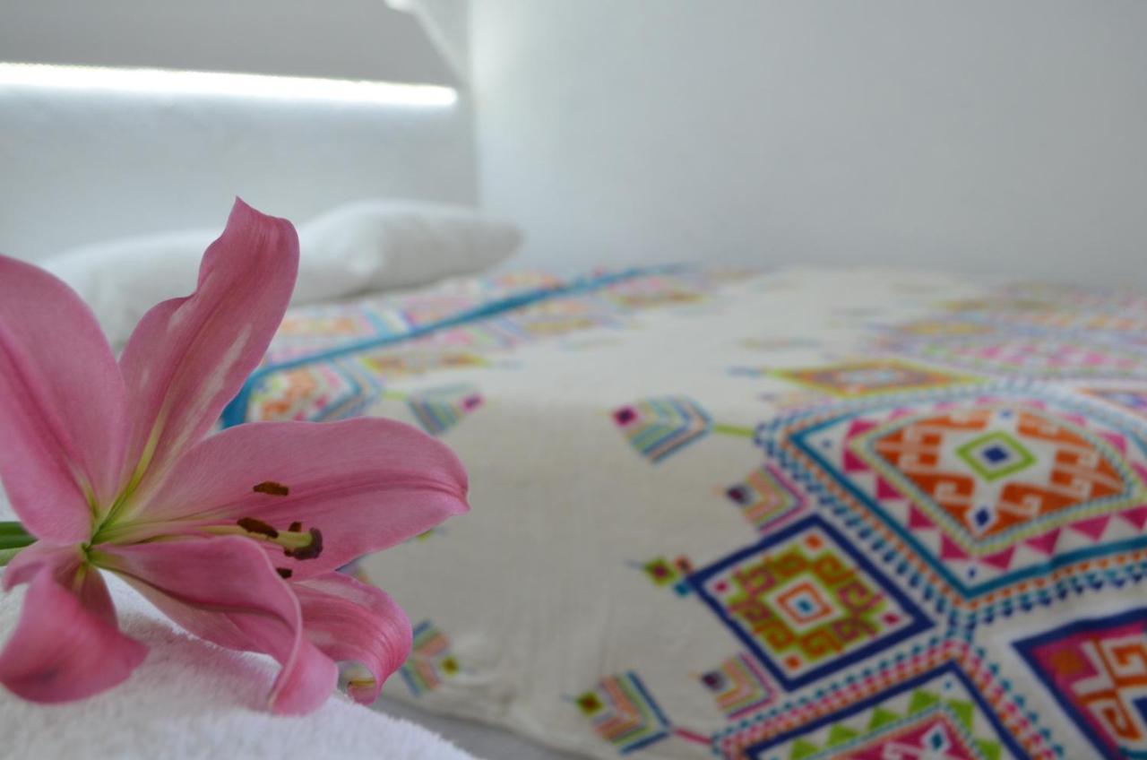 Hotel Vicalis San Juan Teotihuacán Eksteriør bilde